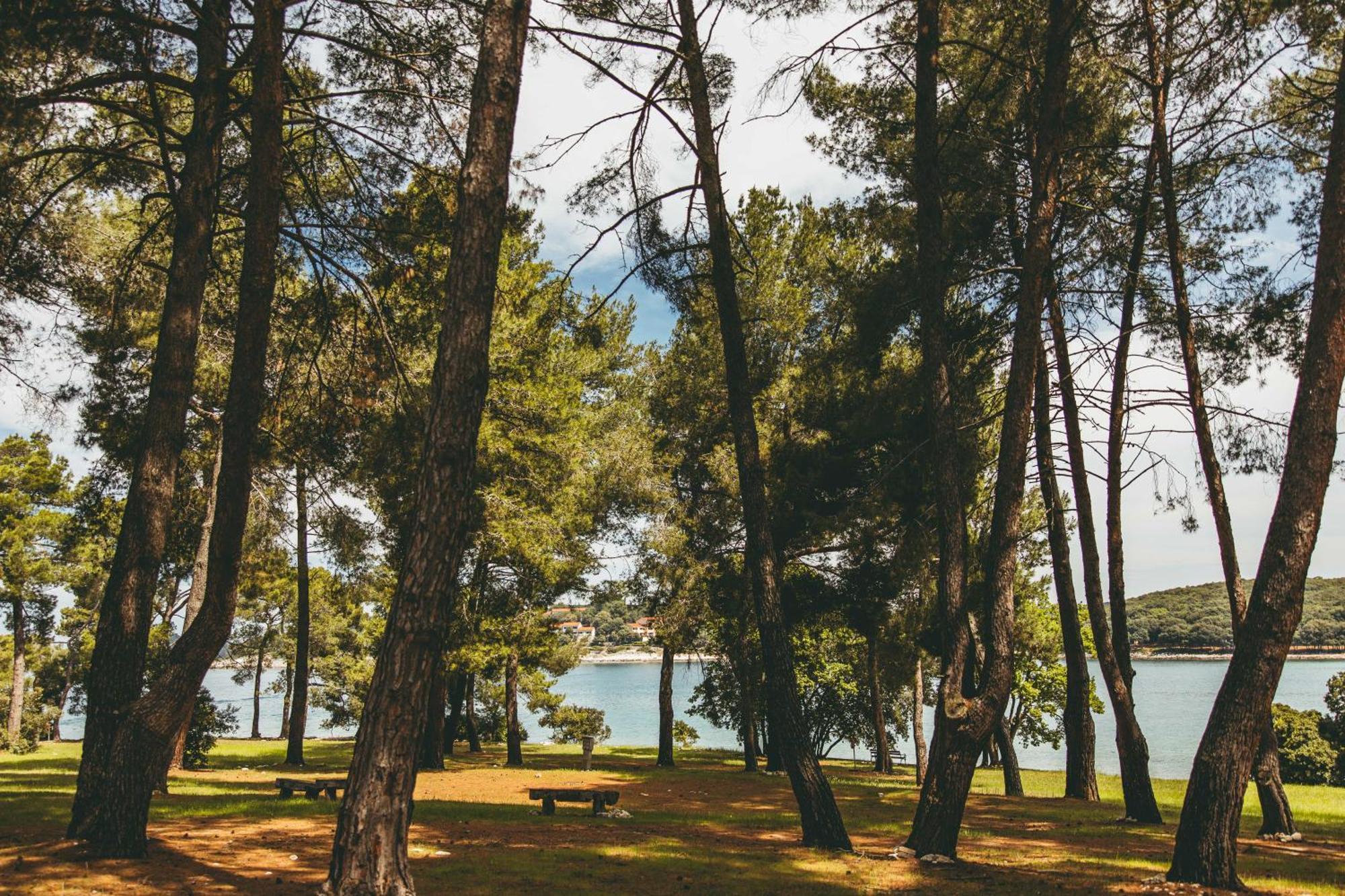 Maistra Camping Koversada Uncovered Naturist Pitches Върсар Екстериор снимка